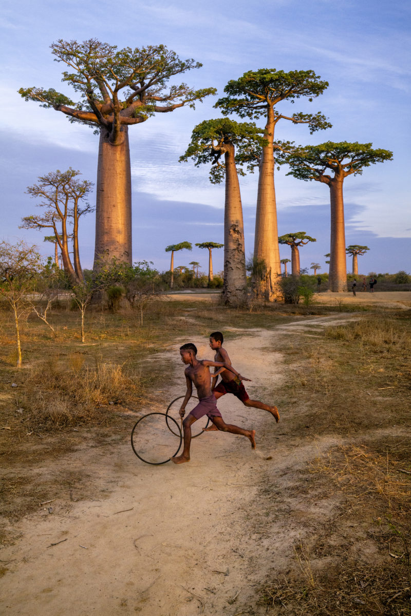 Morondava, Madagascar, 2019 © Steve McCurry